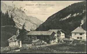 Mooswacht am Hirschbühl Pinzgau.jpg