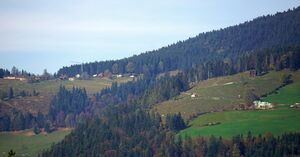 Rengerberg-Teilansicht, Zoomaufnahme aus St. Koloman.jpg