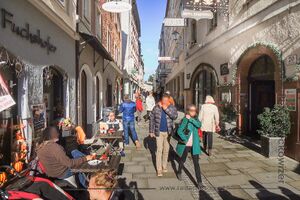 Linzer Gasse.jpg