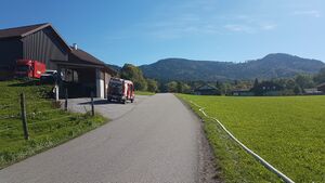 Schlauchleitung Waldbrandübung Henndorf.jpg