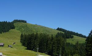 Ausblick in Richtung Wieserhörndl-Gipfelhang.jpg