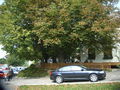 Kopp, Mitterholzleiten 027.jpg