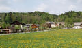 Pfarrhofallee neugepflanzt.jpg