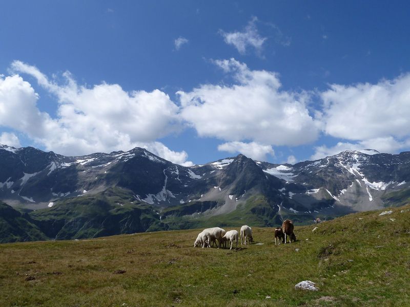 Datei:Am Knappenbäudelsee 3.jpg