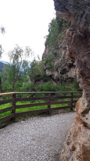 Gasteiner Höhenweg 20210709 26.jpg