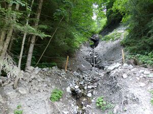 Grieser Graben, Hangbereich 4.jpg
