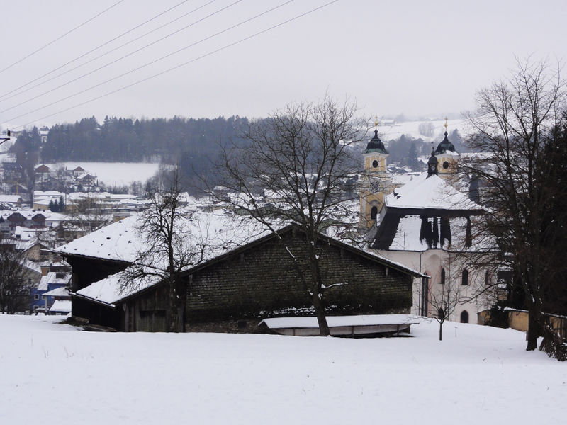 Datei:Rauchhaus im Winterschlaf.jpg