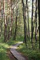 Kopie vonIMGP5444.JPG