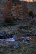 Lanschitzbach 61972 2011-11-01.jpg