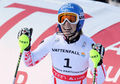 Marlies Schild 3.jpg