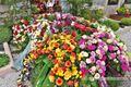 2022 05 08 Friedhof Neumarkt Grab Hagingbauer 02.jpg