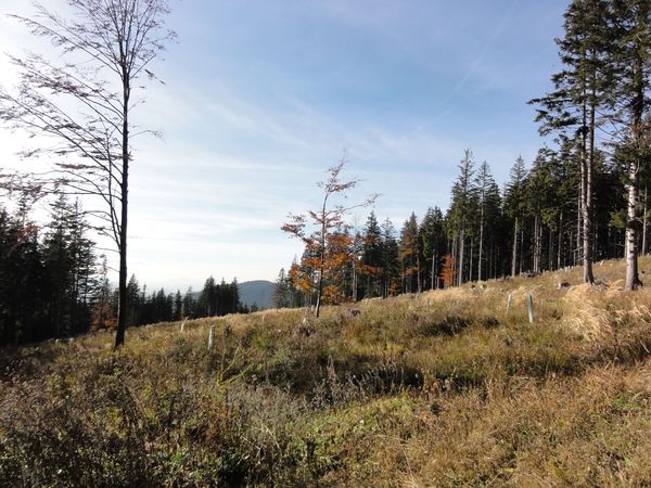 Orkan Emma – Salzburgwiki