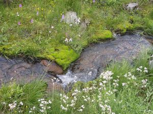 Nassfelder Tal.jpg