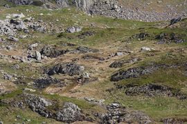 Bergtour poiskarl 26559 2016-06-24.jpg