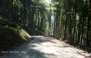 Drei-Eichen-Weg.jpg