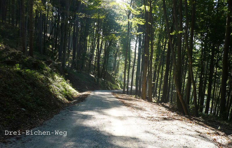 Datei:Drei-Eichen-Weg.jpg