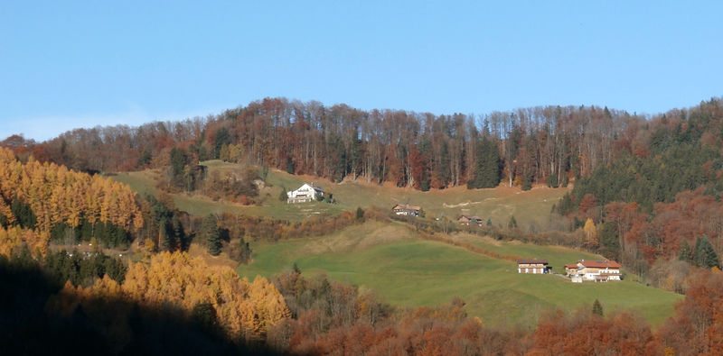 Datei:Köpplschneid, Herbstansicht.jpg