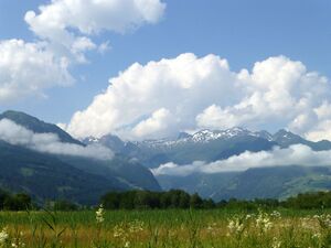 NSG ZS Blick Richtung Hohe Tauern.jpg