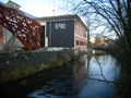 Fisch im Haus 034.jpg