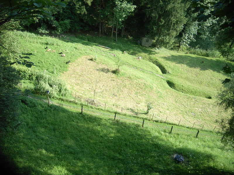 Datei:Gehege 014.jpg