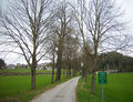 Lindenallee in Kasern.jpg