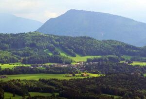 Mühlgrub und Hof.jpg