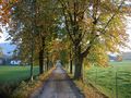Bräukellerallee 028.jpg