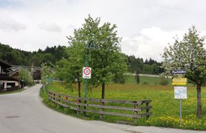 Landschaftsgeschützte Pfarrhofallee in Thalgau.jpg
