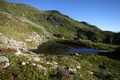Wirpitschsee, obere-weißpriach 29670 2016-07-10.jpg
