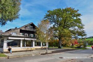 2023 10 29 Fisch- und Schneckenrestaurant Seehotel Winkler.jpg