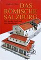Das römische Salzburg.jpg