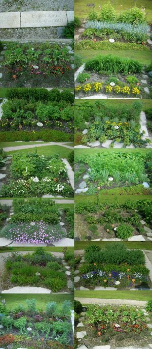 Marienheilgarten Collage senkrecht.jpg