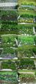 Marienheilgarten Collage senkrecht.jpg