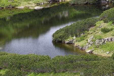 Schwarzsee oberhüttensee 28661 2016-06-28.jpg