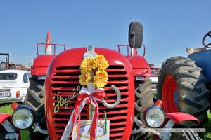 2025 08 09 Oldtimertreffen Oldtimerfreunde Neumarkt 16.jpg