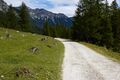 Lantschfeldtal-0110-2022-07-14.jpg