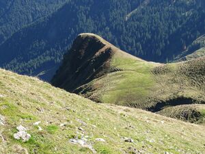 Am Weg von der Schmittenhöhe zum Maurerkogel.jpg