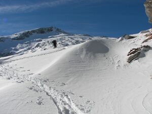 Im fuchskar 88424 2007-02-14.jpg