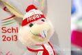Ski WM 2013 Schladming 01.jpg
