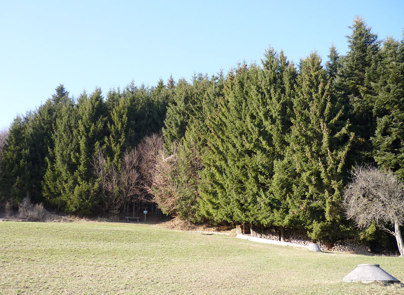Datei:Weg zum Aussichtsplatz.jpg
