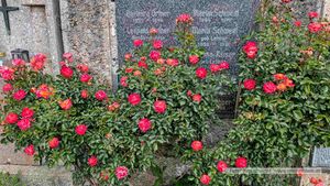 2025 06 06 Friedhof Neumarkt Grab Rosenstock 01.jpg