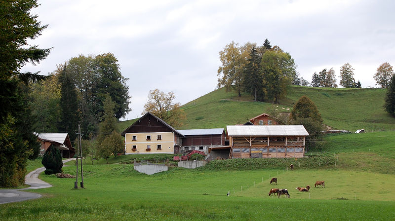 Datei:Anzerberggut an der Riedlstraße.jpg