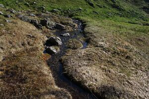 Bergtour poiskarl 26554 2016-06-24.jpg
