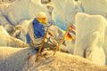 Grönland Expedition Toni Dürnberger 01.jpg