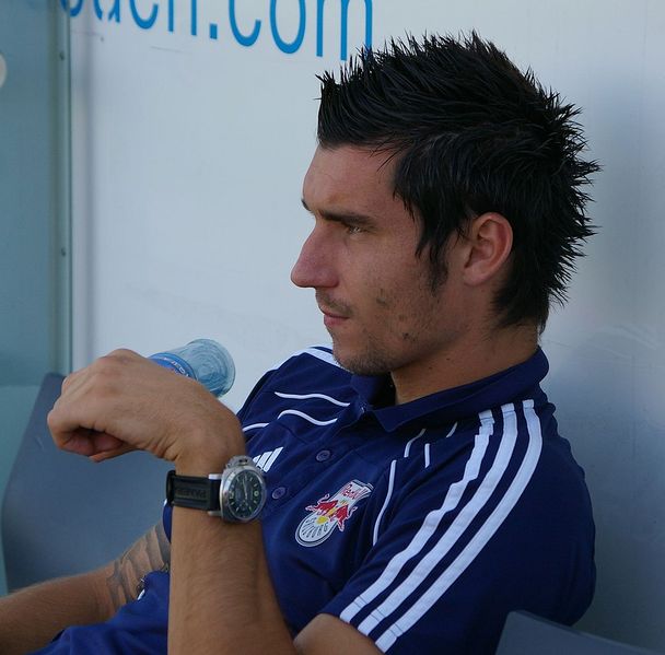 Datei:Nikola Pokrivac4.jpg