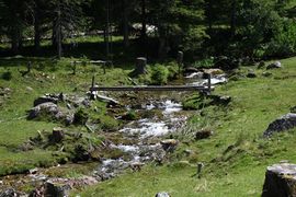 Vögeialm 2065 13-07-23.jpg