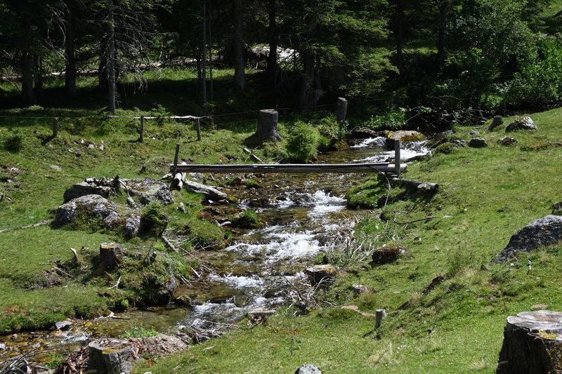 Datei:Vögeialm 2065 13-07-23.jpg