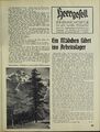 Salzburg im Sommer 1938 Die Bühne 17.jpg