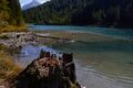 Schlierersee-0251-2021-09-14.jpg