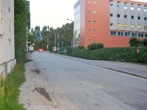 Sylvester-Wagner-Straße.jpg